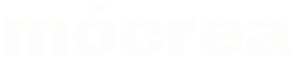 light logo